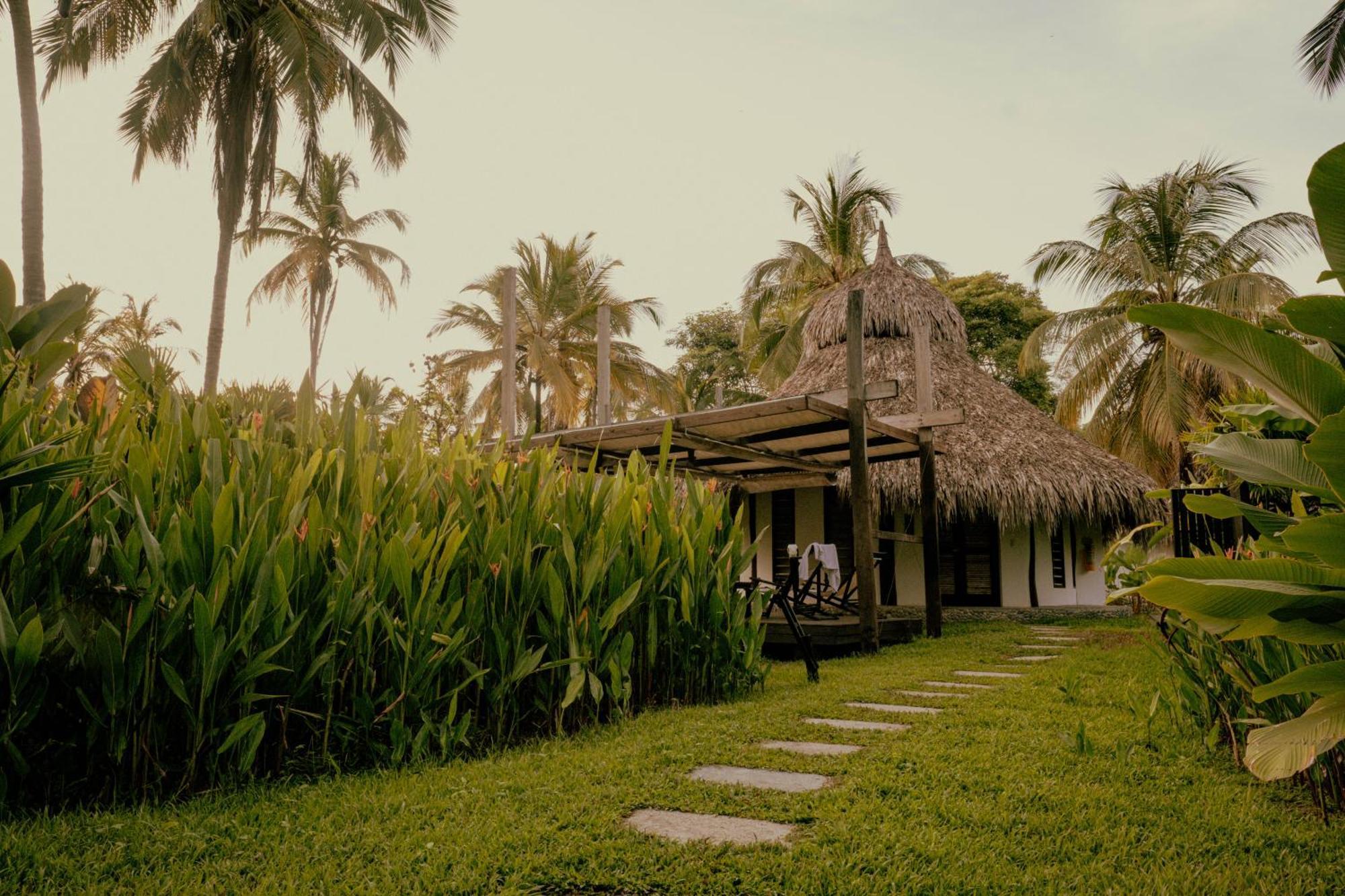 Viajero Tayrona Hostel & Ecohabs Buritaca Exterior foto